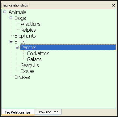 Tag
        Relationships Tab